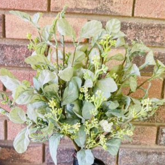 *Mixed Lamb’s Ear Pick, 17” - Picture 6 of 10